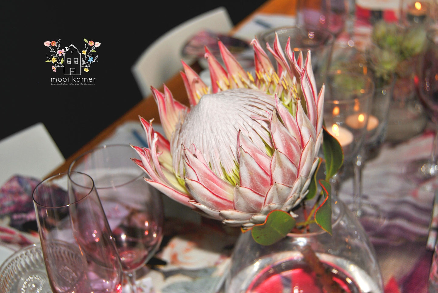 Protea | Pink | Gold